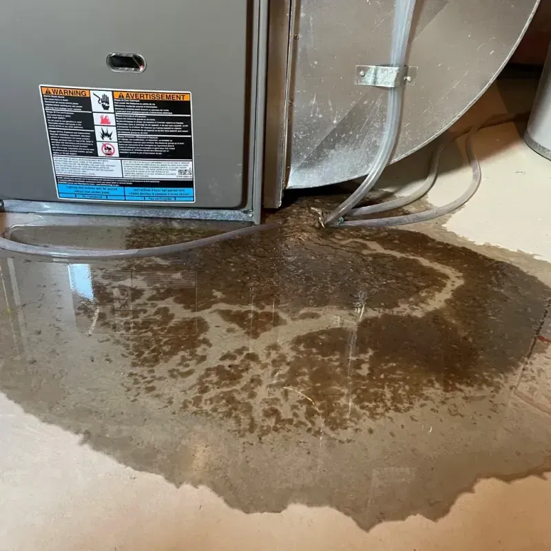 Appliance Leak Cleanup in Angelina County, TX